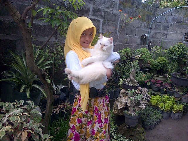 I like my family .. They are interest.. Yaa .. I like strowberry juss and meatball... My hobby is singing ... I like a cat.. Soo cute .. I like this ..