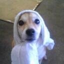 rimgarage's profile picture. 霞ヶ浦のほとりでワーゲン屋(RIMガレーヂ)を営んでます。 空冷VW。愛犬のリム。自作ウッドルアーでバス。カヌー…