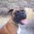 FMVilchezA's profile image