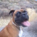 Francisco Manuel Vílchez Álvarez - @FMVilchezA - Twitter