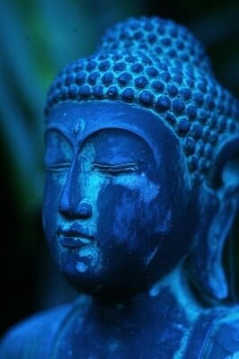 new acount, amazing quotes to make you think and feel good.