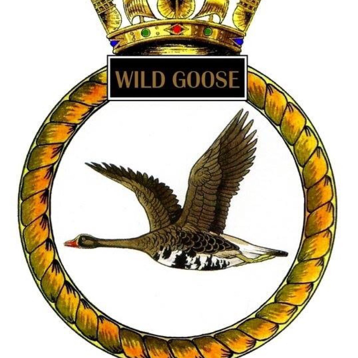 tbsthrapston's profile picture. Sctc thrapston