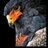 MhbPost's profile image
