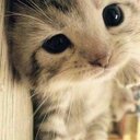 Juna (@0308Juna) Twitter