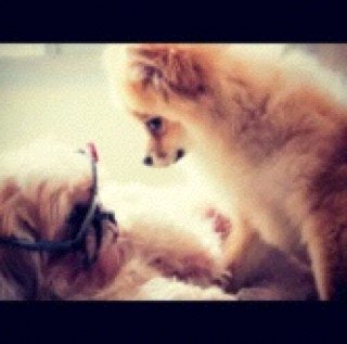 Hiiiiiiiiii. Cute as B**** every single one of you