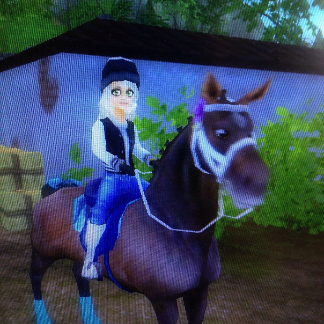 Follow me! I post star stable pictures!