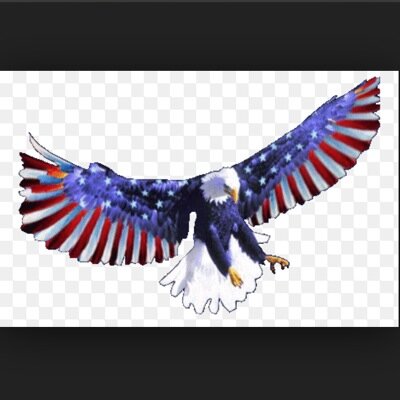 StarsHockey101's profile picture. Offical Twitter Page of Syracuse Eagles PS3 in the league DHL