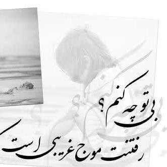 bahnam6's profile picture. 