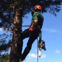 John Hicks - @BarkingDogTrees - Twitter