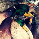Ar Outdoors (@00Outdoors) Twitter