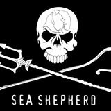 The official Twitter page of Sea Shepherd Minneapolis. Defend, Conserve, Protect! https://t.co/TenQ5GfNZ9