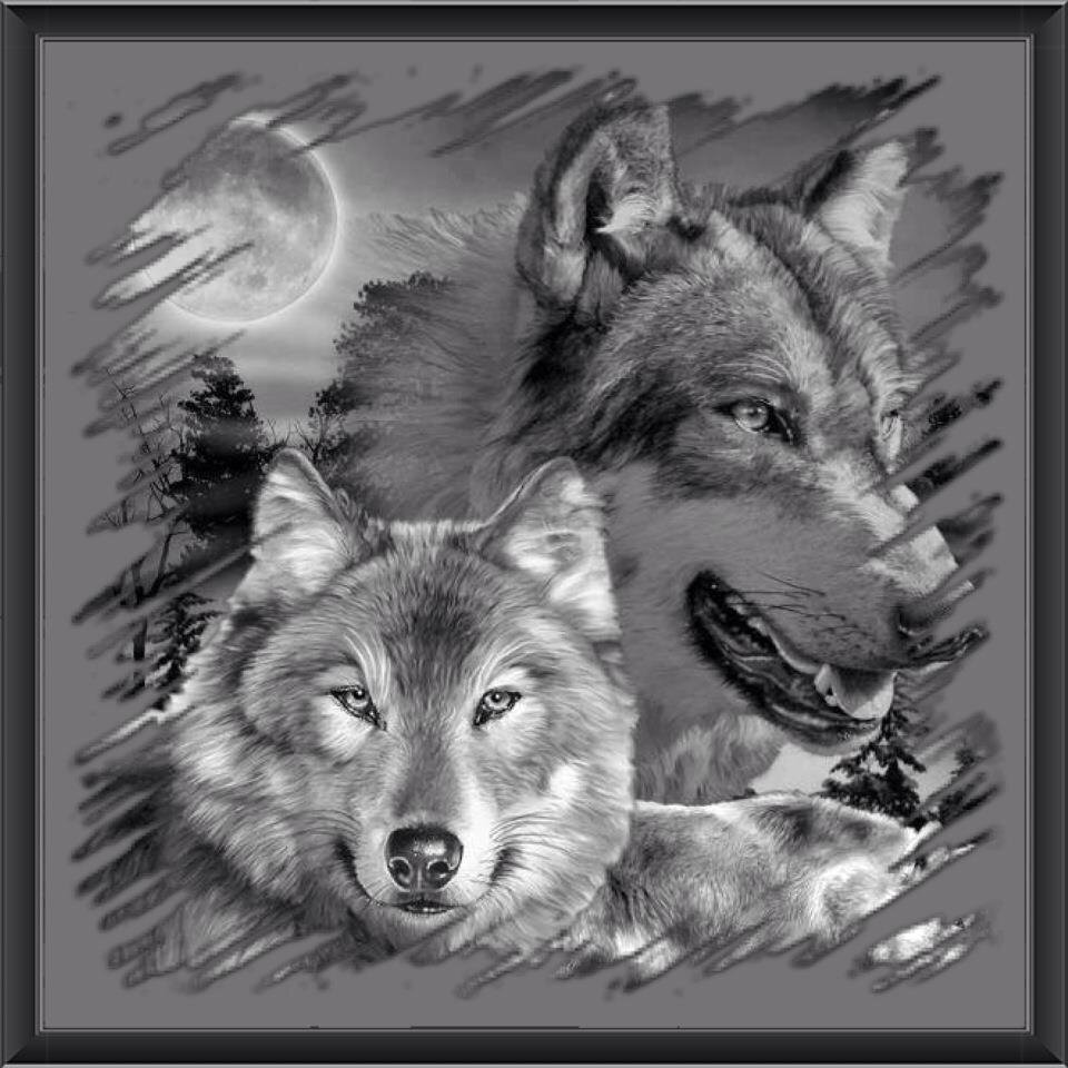 NightWaveRadio's profile picture. WE Play Country And Soul, R & B, POP Music