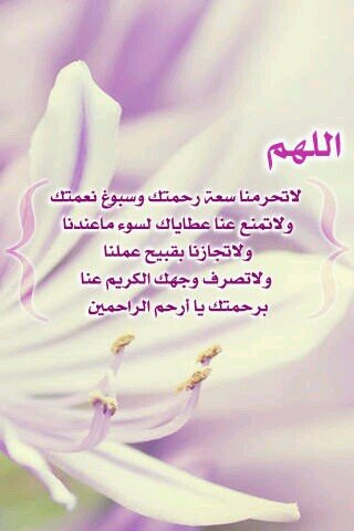 ‏‏‏‏‏‏‏‏‏‏‏‏‏((الـخـــــــــــــاص مـــــــمــــنوع )) فتاة هدفي شيء بالحياة هو انشر كل ماعرفه من خير لنلقى عملنا في الآخرة أمنيتي ( الجنة)