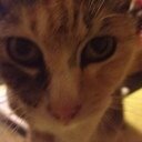 DanielleWelch1's profile picture. 