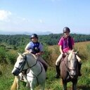 newmeadowfarm's profile picture. Kids. Summer. Horses.