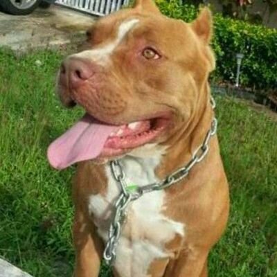 eugenio13959's profile picture. 