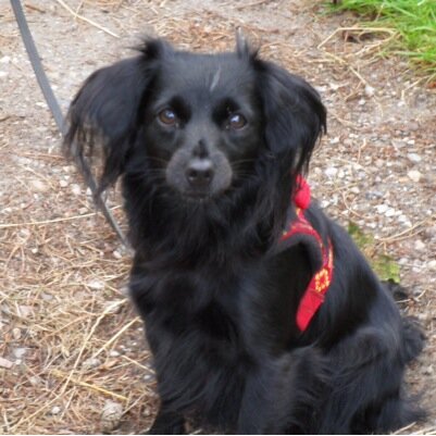 capitano52's profile picture. Tweets op persoonlijke titel.