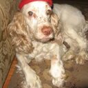 Macarena Solis V. - @makitaa39 - Twitter