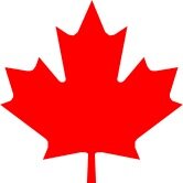 SnidermanCarrie's profile picture. 