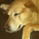 Nichola pat McKee - @NicholaMcKee - Twitter