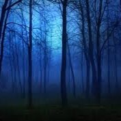 The world is filled with mystery, unknown, and great uncertainty. Observe the world, ask, seek, find. Truly See people like you want to be seen.