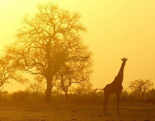 AKMcMullen's profile picture. 