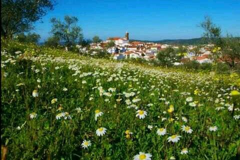 Queremos que este verano 2014 sea inolvidable en Encinasola, dejad vuestras sugerencias por mensaje directo o por un tweet. Gracias.