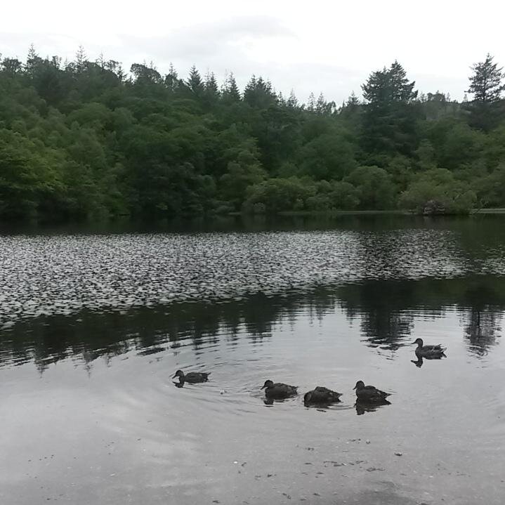 rachel98595714's profile picture. 