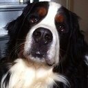moeder van geweldige dochter ! PLUK DE DAG! LIVE every moment, LAUGH every day, LOVE beyond words