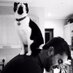 Ant Walton (@ant_walton) Twitter profile photo Ant Walton (@ant_walton) Twitter profile photo