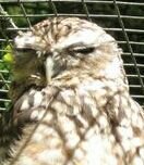 heathenenglish's profile picture. Little Heath School English Dept. Keen on all things literary & linguistic.