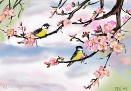 hill_sari's profile picture. 