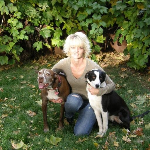 Follow Me On Twitter @AmyHiatt or Visit me @ http://t.co/Dxu9lr6Vuc Dog Sitting Made Simple CNN and MSNBC http://t.co/WXeXBfYjhW
