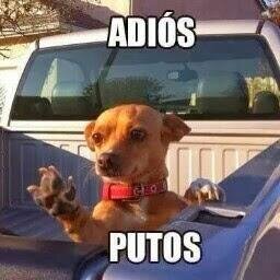 izaak47346's profile picture. 