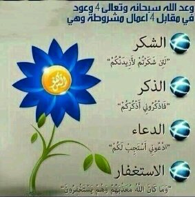 صدقة جارية لـي و لوالديني و لـ ( شيلاء سبت ، شيماء سبت ، شذى سبت ، أبرار سبت  ، فايز المالكي )