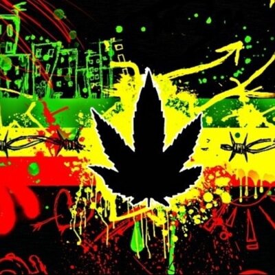 MonterWeed's profile picture. Follow me and i follow back