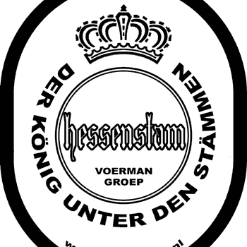 De Hessenstam is onderdeel van de Voermangroep, wat vervolgens weer onderdeel is van Vereniging Scouting de @Trijsberg - Sinds 7 september 1985