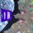 _Danimarta's profile image