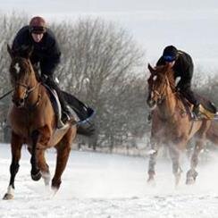 PrivateCapper1's profile picture. How To Make Professional Bets http://t.co/qgUSh4Cu3Z