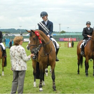 Show jumping, BSJA, horses #brashhorses , Director @johnstonsmillie accountants, equestrian accountant,