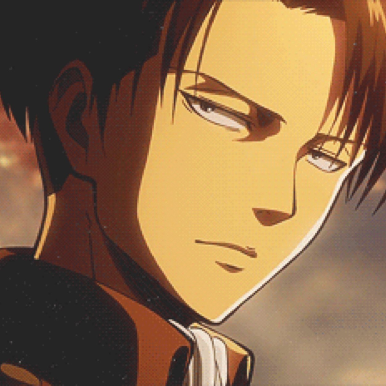 LeviAckerman3's profile picture. Hanji made me do this.