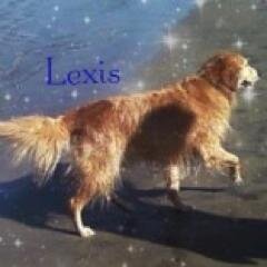 Dedicated to Lexi *2013* & Heidi *2016*. Mom & Grandma. #Reiki practitioner. #WaterisLife  I used to be a dog walker now I walk with dogs.