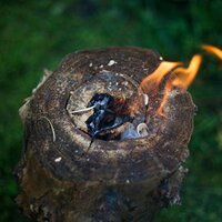 MTJS Survival Blog (@mtjsblog) 's Twitter Profile Photo