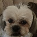 molly potts - @mollypotts1 - Twitter