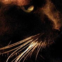 Bob Knowles (@isitfridayyet) 's Twitter Profile