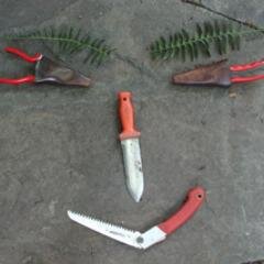 GardenandBook's profile picture. Professional gardener, former book marketer. And, very partial to cats. BTW, that's a woman running across Big Meadows, Shenandoah National Park