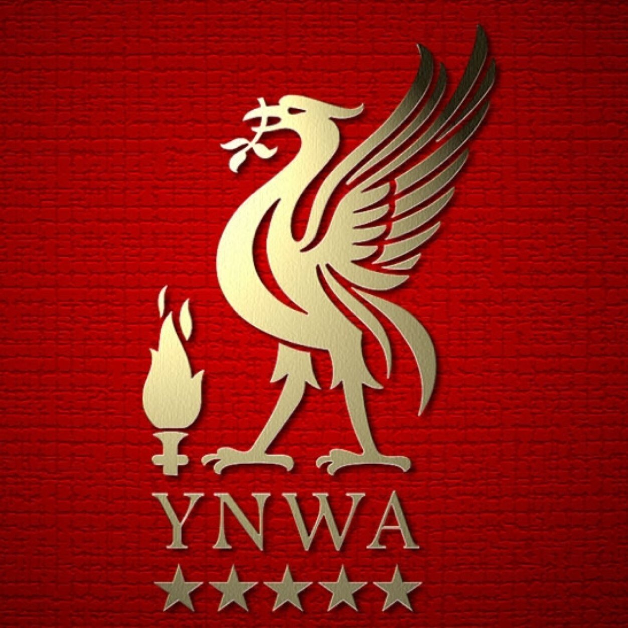 Cnp coybib lfc atd
