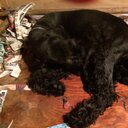 Jose Luis Becerril - @Joclo_Bece - Twitter