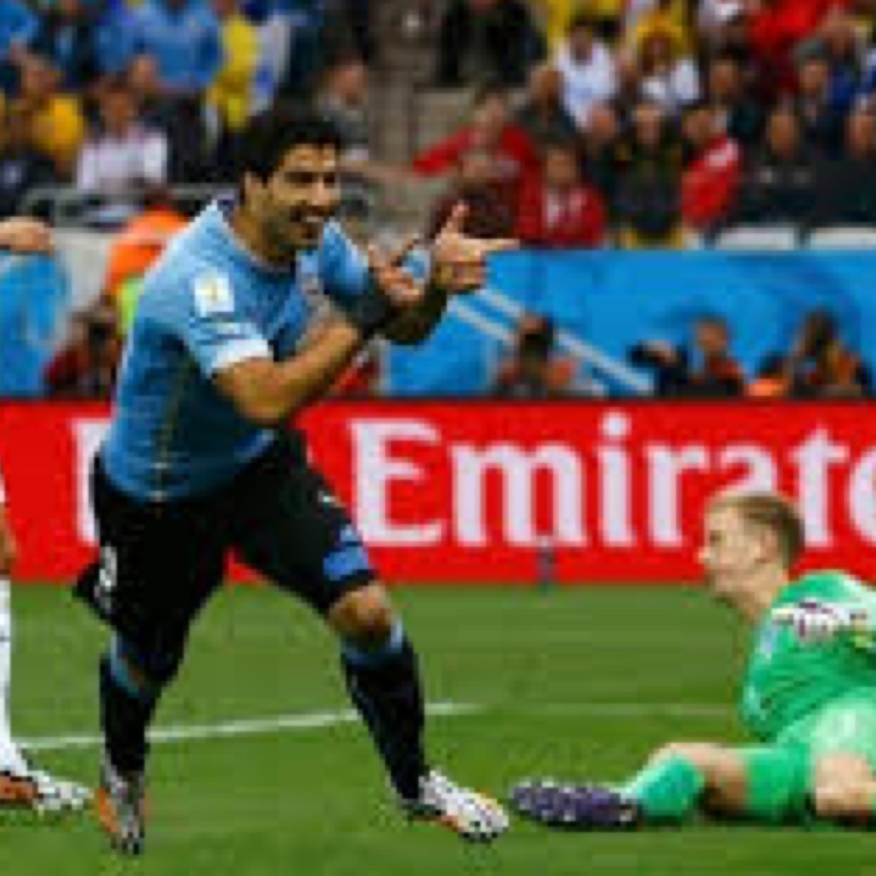 PaulRogers69's profile picture. Love my home city liverpool,love my team as much.hate everton and man u.can be a bit offensive,rude maybe crude but really dont give a fuck what people think.