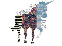 Cuenta dedicada a solo hipsters. Si lees esto, es que tienes que seguirme : 3 Moda, musica, encontraras de todo aqui!